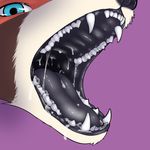  black_gums blue_eyes drooling looking_at_viewer mammal mouth_shot open_mouth red_panda saliva strawberrycucumber teeth tongue vore 