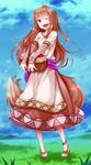 ;d absurdres animal_ears anklet apple ayakura_juu brown_hair day dress fang_out floating_hair food fruit full_body grass highres holo jewelry long_dress long_hair looking_at_viewer official_art one_eye_closed open_mouth outdoors red_eyes sky smile solo spice_and_wolf standing tail very_long_hair wolf_ears wolf_girl wolf_tail 
