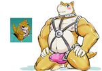  anthro bulge clothing erection erection_under_clothes furrynoata-kun male nintendo pok&eacute;mon sandshrew video_games 