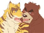 bear feline gegegenomin hand_holding juuichi_mikazuki kissing male male/male mammal morenatsu saliva smile tiger tongue torahiko_(morenatsu) 
