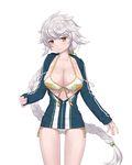  alternate_costume asymmetrical_hair bad_id bad_pixiv_id bikini blue_jacket braid breasts cloud_print cnm collarbone cowboy_shot hair_ornament halter_top halterneck highres jacket jitome kantai_collection large_breasts light_smile long_hair long_sleeves looking_at_viewer shiny shiny_skin silver_hair simple_background single_braid solo swimsuit thighs unryuu_(kantai_collection) unzipped very_long_hair white_bikini yellow_eyes 