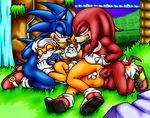  anal anal_penetration anthro anus balls butt canine echidna erection fellatio fox group group_sex happyanthro hedgehog hi_res knuckles_the_echidna male male/male mammal miles_prower monotreme oral penetration penis sex sonic_(series) sonic_the_hedgehog spitroast 
