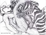  2007 anal anal_penetration anthro anthro_on_anthro balls bed big_tail crocodilian cum cum_in_ass cum_inside dharken duo equine erection interspecies lying male male/male mammal monochrome on_back on_bed penetration penis pillow predator/prey pull_out reptile scalie sex traditional_media_(artwork) zebra 