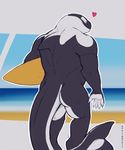  &lt;3 2017 anthro beach black_skin butt cetacean claws connor_(explicital) evalion looking_back male mammal marine muscular nude orca seaside smile solo standing surfboard whale white_skin 