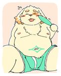  canine clothing cusith dog fanning invalid_tag male mammal nem nipples slightly_chubby sweat tokyo_afterschool_summoners underwear 