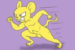  balls dragon_ball dragon_ball_super mammal mouse nude penis quitela rodent running simple_background uncut unknown_artist 