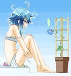  1girl asymmetrical_hair azumaya_(miyui001) barefoot blue_background blue_eyes blue_flower blue_hair bra floral_print flower flower_pot from_side full_body highres kantai_collection knees_up leg_hug looking_away messy_hair minazuki_(kantai_collection) morning_glory outline panties plant profile sad sandals sandals_removed scratching sitting solo speech_bubble spoken_ellipsis strap_slip striped striped_bra striped_panties trellis underwear underwear_only wavy_mouth 