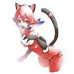  animal_ears bare_shoulders black_gloves bodysuit breasts cat_cutout cat_ears cat_tail choker cleavage_cutout gloves highres kwz leaning_forward looking_at_viewer medium_breasts open_mouth origami_akara red_eyes red_hair school_girl_strikers short_hair solo tail whiskers 