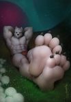  2017 4_toes abs anthro arms_above_head barefoot biceps big_feet big_muscles black_claws black_nose bulge canine claws clothed clothing dalluwn eyes_closed foot_focus fur hair lying male mammal muscular mushroom navel night on_back outside pecs plantigrade relaxing sitting sleeping solo toe_claws toes topless underwear white_fur white_hair wolf 