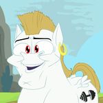  2017 animated anontheanon blonde_hair bulk_biceps_(mlp) cutie_mark ear_piercing equine feathered_wings feathers feral friendship_is_magic hair male mammal meme my_little_pony open_mouth pegasus piercing red_eyes sky solo white_feathers wings 