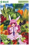  absurdres animal_ears bunny_ears copyright_request dress food fruit highres kuroya_shinobu solo thighhighs vegetable 
