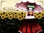  ascot breasts dress engrish flower green_hair highres kazami_yuuka large_breasts plaid plaid_skirt plaid_vest ranguage red_eyes skirt skirt_set solo sunflower touhou tsubasa_(abchipika) umbrella vest 