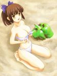  bad_id bad_pixiv_id beach bell_pepper bikini breasts brown_eyes brown_hair cleavage highres large_breasts original pepper ponytail raisu seiza short_hair sitting solo swimsuit underboob 