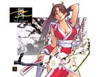  artist_request back breasts brown_eyes brown_hair closed_fan covered_nipples fan fatal_fury flower folding_fan japanese_clothes large_breasts long_hair pelvic_curtain ponytail shiranui_mai solo the_king_of_fighters 