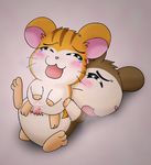  hamtaro maxwell sandy tagme 