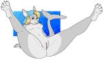  2017 blonde_hair blue_eyes breasts clitoris female fish grey_body hair hat hindpaw hybrid legs_up looking_at_viewer marine nude os paws pussy shark solo spread_legs spreading 