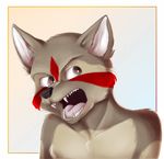  2017 angry anthro black_nose brown_fur digital_drawing_(artwork) digital_media_(artwork) fur looking_at_viewer male mammal open_mouth portrait raccoon red_eyes red_fur simple_background solo teeth tristan white_background wunderknodel ych 