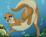  2017 anus brown_fur bubble candyfoxy digital_media_(artwork) female feral fur looking_up mammal mustelid otter pink_eyes pussy raised_tail rock side_view smile solo underwater water white_fur 
