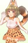  animal_ears bare_shoulders blue_eyes blush bow bowtie breasts brown_hair claw_pose commentary_request cosplay elbow_gloves gloves green_eyes heterochromia highres idolmaster idolmaster_cinderella_girls keffiy kemono_friends looking_at_viewer medium_breasts mole mole_under_eye open_mouth serval_(kemono_friends) serval_(kemono_friends)_(cosplay) serval_ears serval_print serval_tail short_hair simple_background skirt small_breasts smile solo tail takagaki_kaede thighhighs 