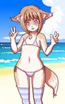  artist_request bikini brown_hair dog furry open_mouth pink_eyes short_hair stocking swimsuit 