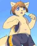  5_fingers blue_eyes blush brown_hair cat clothing cub feline food hair male mammal navel nipples open_mouth popsicle scalefish_520 shorts simple_background slightly_chubby solo young 