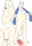  anthro canine censored dog erection flaccid foreskin fur humanoid_penis ineffective_censorship male mammal manmosu_marimo navel nipples nude penis simple_background solo standing tagme towel white_background white_canine_(marimo) white_fur 
