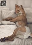  anthro bed butt canine clothing cosmiclife dhole female hi_res lying mammal panties paws semi-anthro solo underwear wolf 