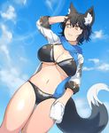  animal_ears bikini bikini_day black_bikini black_hair blue_sky breasts cleavage cloud commentary_request cowboy_shot day fox_ears fox_tail ganesagi hand_behind_head hand_in_pocket highres jacket large_breasts nanashi_(ganesagi) original parted_lips scarf short_hair sky solo swimsuit tail yellow_eyes 