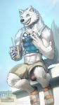  2018 anthro beach beverage blue_eyes canine clothed clothing erection flip_flops fur glans grin humanoid_penis looking_at_viewer male mammal outside penis penis_through_leghole poking_out seaside shirt shorts sitting smile solo tank_top todex urethra wardrobe_malfunction white_fur wolf 