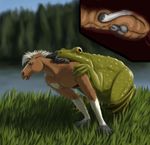  amphibian anthro equine feral frog horse lemurlemurovich male mammal vore 