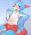  5_fingers anthro blue_fur blush boxers_(clothing) bulge canine clothing dog food fur male mammal manadezimon navel popsicle red_eyes red_fur shirt sitting solo sweat tan_fur tank_top teenager tongue tongue_out underwear young 