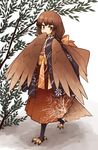  1girl brown_eyes brown_hair female full_body hakama harpy kaginoni monster_girl original solo standing wings 