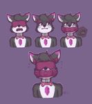  2017 alec8ter anthro blindfold blush canine chest_tuft cock_gag collar cutaway earplugs english_text gag gagged internal male mammal muarauder_(muarauder12) name_tag nude open_mouth petplay purple_background roleplay signature simple_background solo sweat sweatdrop text tuft wolf 