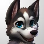  anthro blue_eyes canine dog front_view fur grey_fur husky inner_ear_fluff looking_at_viewer mammal multicolored_fur open_mouth simple_background smile solo thanshuhai tongue two_tone_fur white_background white_fur 