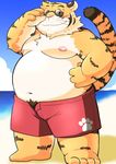  12beat13 anthro belly big_belly clothed clothing eyewear feline male mammal overweight partially_clothed pubes slightly_chubby sunglasses swimsuit tiger 