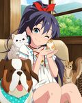  animal antenna_hair artist_request bangs black_hair blue_eyes cat collarbone day dog earrings ganaha_hibiki hamster hamuzou idolmaster idolmaster_(classic) idolmaster_million_live! idolmaster_million_live!_theater_days inumi jewelry long_hair looking_at_viewer necklace official_art one_eye_closed ponytail sitting smile solo squirrel st_bernard tree white_cat window 
