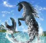 2017 ambiguous_gender blue_eyes blue_sky cloud detailed_background digital_media_(artwork) equine feral fin fish grey_body grey_mane grey_tail hi_res horse hybrid island lens_flare long_tail looking_at_viewer looking_back mammal mane marine mountain on_hind_legs partially_submerged perspective quadruped rear_view rufciu sea shark signature sky snout solo sun tail_fin thick_tail water 