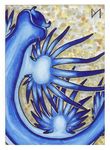  diaminerre feathers gastropod marine sea sea_slug simple_background slug traditional_media_(artwork) water 