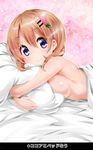  bangs bed bed_sheet blush breasts collarbone commentary_request eyebrows_visible_through_hair flower gochuumon_wa_usagi_desu_ka? hair_between_eyes hair_flower hair_ornament hairclip heart heart_background highres hoto_cocoa looking_at_viewer lying medium_breasts nude on_bed on_stomach orange_hair pillow pillow_hug pink_background purple_eyes short_hair sideboob smile solo zebrablack 