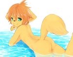  backsack balls butt canine cub green_eyes hair male mammal nude orange_hair simple_background solo water ynaegiy young 