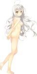  absurdres ahoge arms_behind_back ashishun ass barefoot blush breasts full_body hands_together highres long_hair looking_at_viewer medium_breasts misuzu_sasa nipples nude official_art ouchi_ni_kaeru_made_ga_mashimaro_desu smile solo standing transparent_background white_hair yellow_eyes 