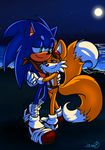  2017 anthro black_nose blue_eyes canine clothing dipstick_tail duo eyewear footwear fox fur gloves goggles green_eyes half-closed_eyes hedgehog hug male mammal miles_prower moon moonlight multicolored_tail night scarf signature smile sonic_(series) sonic_the_hedgehog video_games water white_fur yellow_fur zoomswish 