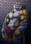  anthro bomb_(artist) bulge erection feline male mammal muscular nipples tiger 