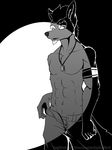  abs ace_(acethebigbadwolf) acethebigbadwolf canine clothed clothing colorless digital_media_(artwork) inverted_color jewelry male mammal necklace spotlight topless wolf zipper 