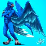  2013 anthro avian beak bird blue_feathers cyan_background digitigrade feathered_wings feathers featureless_crotch grey_beak kero_tzuki male nude solo standing wings 