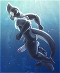  anthro bald balls bbd big_penis cetacean erection humanoid_penis looking_at_viewer male mammal marine muscular nude orca penis solo underwater water whale 