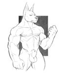  2017 anthro balls biceps canine diokhan_(artist) jackal male mammal monochrome muscular muscular_male navel nude pecs pencil_(disambiguation) penis sketch solo 