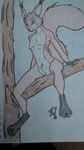  2015 anthro fel_greywolf green_eyes iora_rua male mammal nude penis penis_tip red_squirrel rodent solo squirrel 
