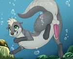  2017 absurd_res anus balls bubble candyfoxy digital_media_(artwork) erection feral fur green_eyes grey_fur hi_res looking_up male mammal mustelid otter penis perineum raised_tail rock side_view smile solo twitch_otyolf underwater water 