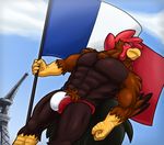  2017 abs anthro avian beak biceps bird bulge chest_tuft chicken clothed clothing cloud corrsk day digital_media_(artwork) eiffel_tower feathers flag france french french_flag male muscular muscular_male navel outside pecs pubes sky solo standing tuft underwear 